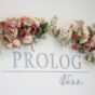 PROLOG