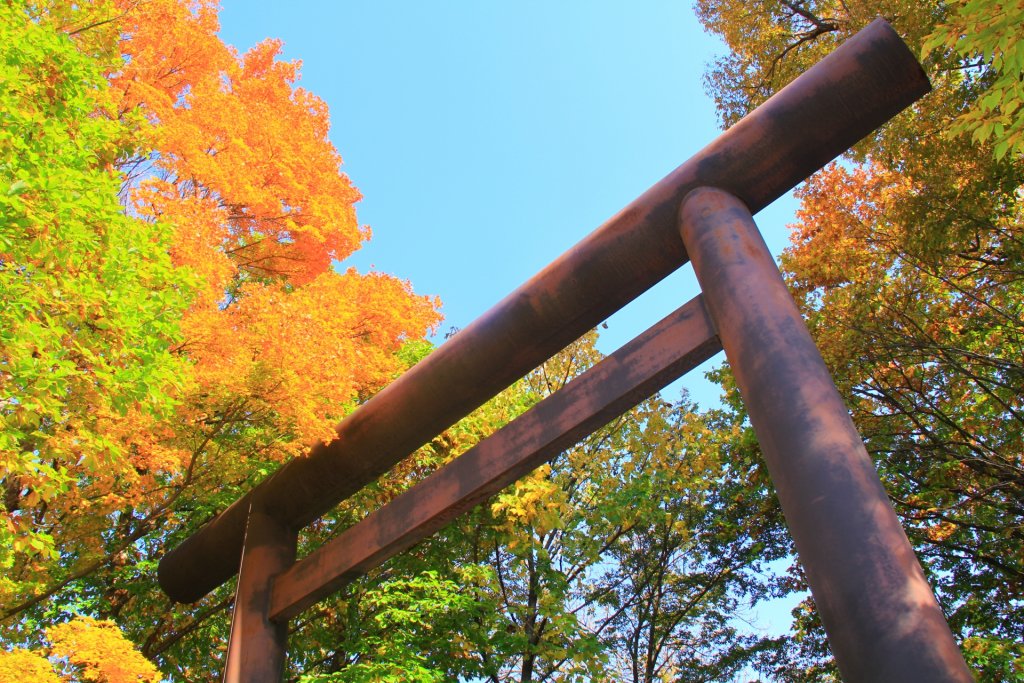 maruyama-history-紅葉と鳥居