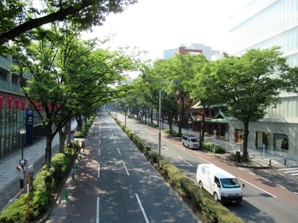 表参道の写真
