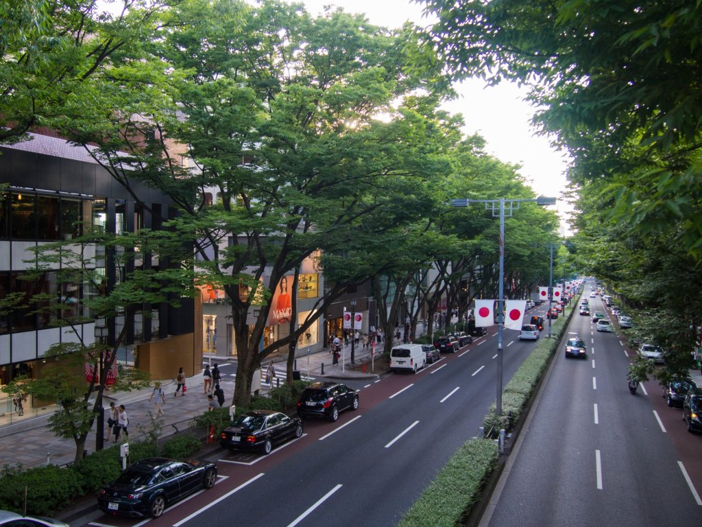 表参道の街並みの写真