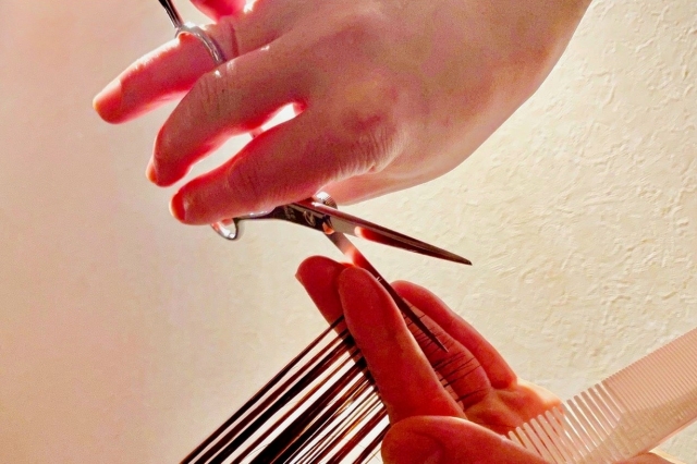 下から撮影したカット風景の写真