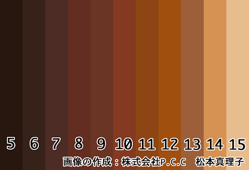 茶色系の明るさカラーチャート(左が暗い右が明るい)