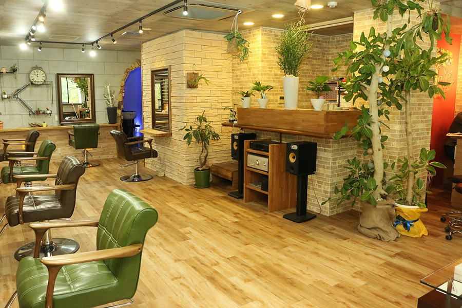 プランツヘアー博多の店内の写真