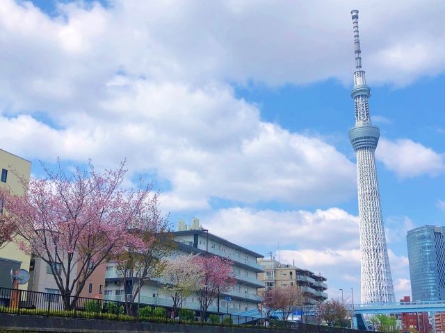 スカイツリーを臨む錦糸町の街並み