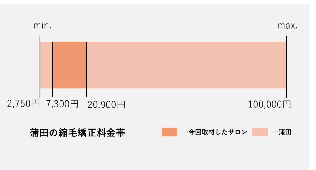 蒲田の縮毛矯正の価格の価格帯グラフ