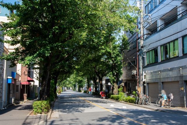 北千住エリアの緑の写真