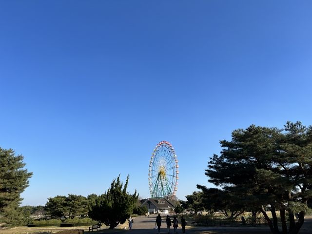 国営ひたち海浜公園の風景写真