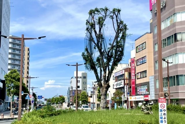 春日部駅周辺の写真