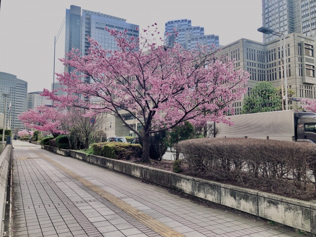 新宿エリアの風景写真
