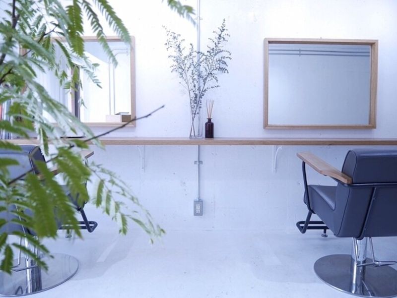 植物が飾られたハットの店内の写真