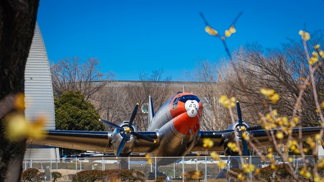 所沢の街の風景写真