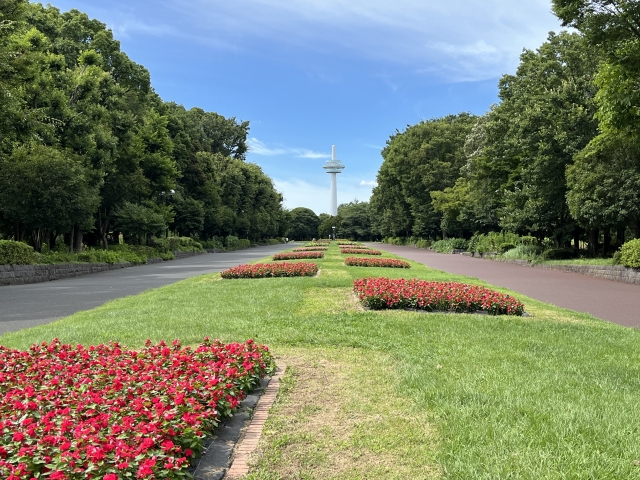 所沢の街の風景写真