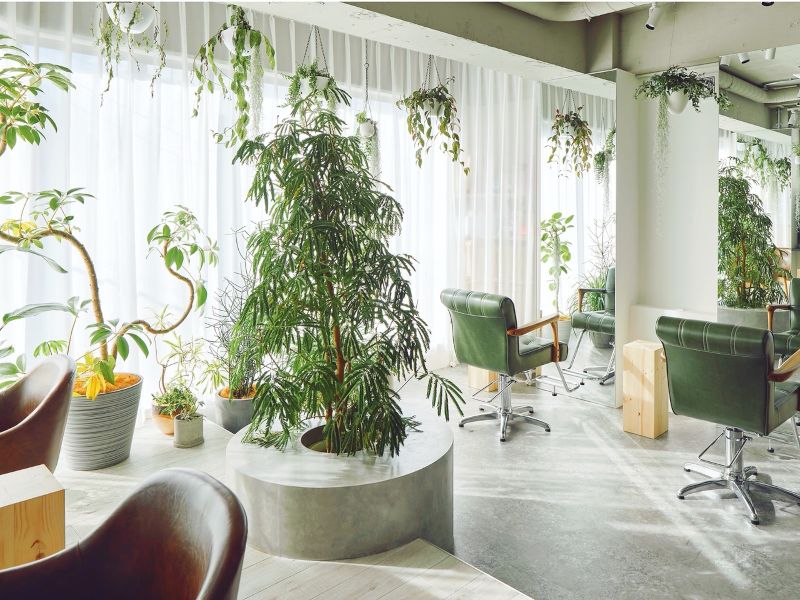 Lit. 　自由が丘の店内の写真