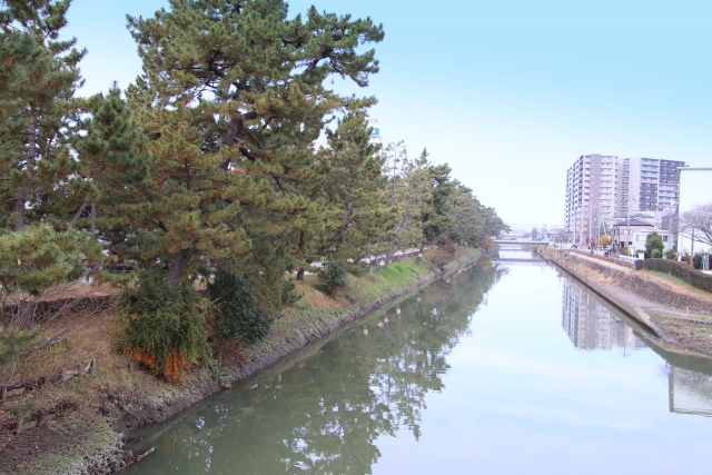 草加の風景写真