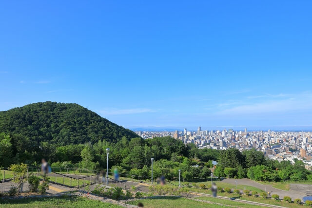 自然と都会の魅力を兼ね備えた円山エリアの風景写真