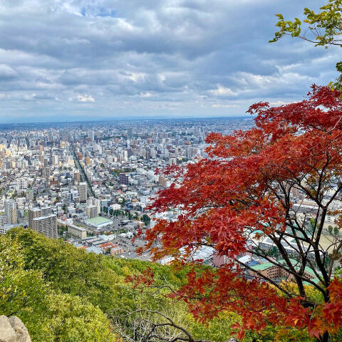 上質な暮らしと洗練された街並みが魅力の円山エリアの風景